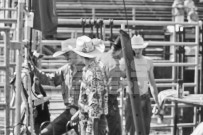 Binbrook Fair - Ram Rodeo Tour - Rodeo Photographer - Equine Photographer - Petes Photography or Petes Western - September 14 2024