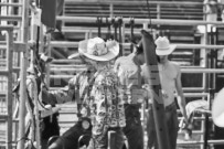 Binbrook Fair - Ram Rodeo Tour - Rodeo Photographer - Equine Photographer - Petes Photography or Petes Western - September 14 2024