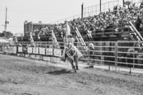 Binbrook Fair - Ram Rodeo Tour - Rodeo Photographer - Equine Photographer - Petes Photography or Petes Western - September 14 2024