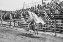 Binbrook Fair - Ram Rodeo Tour - Rodeo Photographer - Equine Photographer - Petes Photography or Petes Western - September 14 2024