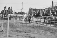 Binbrook Fair - Ram Rodeo Tour - Rodeo Photographer - Equine Photographer - Petes Photography or Petes Western - September 14 2024