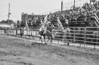 Binbrook Fair - Ram Rodeo Tour - Rodeo Photographer - Equine Photographer - Petes Photography or Petes Western - September 14 2024