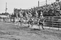 Binbrook Fair - Ram Rodeo Tour - Rodeo Photographer - Equine Photographer - Petes Photography or Petes Western - September 14 2024