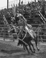 Binbrook Fair - Ram Rodeo Tour - Rodeo Photographer - Equine Photographer - Petes Photography or Petes Western - September 14 2024