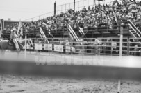 Binbrook Fair - Ram Rodeo Tour - Rodeo Photographer - Equine Photographer - Petes Photography or Petes Western - September 14 2024