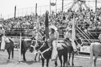 Binbrook Fair - Ram Rodeo Tour - Rodeo Photographer - Equine Photographer - Petes Photography or Petes Western - September 14 2024