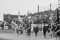 Binbrook Fair - Ram Rodeo Tour - Rodeo Photographer - Equine Photographer - Petes Photography or Petes Western - September 14 2024