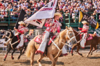 Binbrook Fair - Ram Rodeo Tour - Rodeo Photographer - Equine Photographer - Petes Photography or Petes Western - September 14 2024