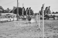 Binbrook Fair - Ram Rodeo Tour - Rodeo Photographer - Equine Photographer - Petes Photography or Petes Western - September 14 2024