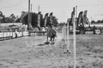 Binbrook Fair - Ram Rodeo Tour - Rodeo Photographer - Equine Photographer - Petes Photography or Petes Western - September 14 2024