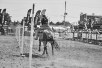 Binbrook Fair - Ram Rodeo Tour - Rodeo Photographer - Equine Photographer - Petes Photography or Petes Western - September 14 2024