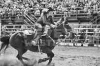 Binbrook Fair - Ram Rodeo Tour - Rodeo Photographer - Equine Photographer - Petes Photography or Petes Western - September 14 2024