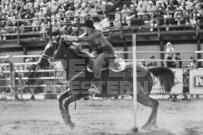 Binbrook Fair - Ram Rodeo Tour - Rodeo Photographer - Equine Photographer - Petes Photography or Petes Western - September 14 2024