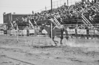 Binbrook Fair - Ram Rodeo Tour - Rodeo Photographer - Equine Photographer - Petes Photography or Petes Western - September 14 2024