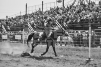 Binbrook Fair - Ram Rodeo Tour - Rodeo Photographer - Equine Photographer - Petes Photography or Petes Western - September 14 2024