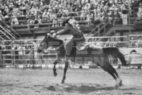 Binbrook Fair - Ram Rodeo Tour - Rodeo Photographer - Equine Photographer - Petes Photography or Petes Western - September 14 2024