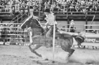 Binbrook Fair - Ram Rodeo Tour - Rodeo Photographer - Equine Photographer - Petes Photography or Petes Western - September 14 2024