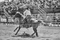 Binbrook Fair - Ram Rodeo Tour - Rodeo Photographer - Equine Photographer - Petes Photography or Petes Western - September 14 2024