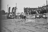 Binbrook Fair - Ram Rodeo Tour - Rodeo Photographer - Equine Photographer - Petes Photography or Petes Western - September 14 2024