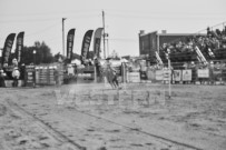 Binbrook Fair - Ram Rodeo Tour - Rodeo Photographer - Equine Photographer - Petes Photography or Petes Western - September 14 2024