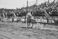 Binbrook Fair - Ram Rodeo Tour - Rodeo Photographer - Equine Photographer - Petes Photography or Petes Western - September 14 2024