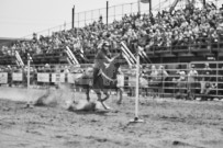 Binbrook Fair - Ram Rodeo Tour - Rodeo Photographer - Equine Photographer - Petes Photography or Petes Western - September 14 2024