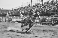 Binbrook Fair - Ram Rodeo Tour - Rodeo Photographer - Equine Photographer - Petes Photography or Petes Western - September 14 2024