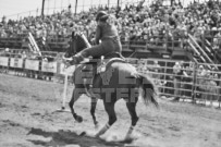 Binbrook Fair - Ram Rodeo Tour - Rodeo Photographer - Equine Photographer - Petes Photography or Petes Western - September 14 2024