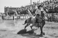 Binbrook Fair - Ram Rodeo Tour - Rodeo Photographer - Equine Photographer - Petes Photography or Petes Western - September 14 2024