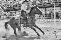 Binbrook Fair - Ram Rodeo Tour - Rodeo Photographer - Equine Photographer - Petes Photography or Petes Western - September 14 2024