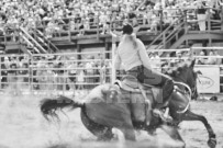 Binbrook Fair - Ram Rodeo Tour - Rodeo Photographer - Equine Photographer - Petes Photography or Petes Western - September 14 2024