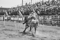 Binbrook Fair - Ram Rodeo Tour - Rodeo Photographer - Equine Photographer - Petes Photography or Petes Western - September 14 2024