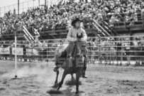 Binbrook Fair - Ram Rodeo Tour - Rodeo Photographer - Equine Photographer - Petes Photography or Petes Western - September 14 2024