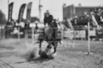 Binbrook Fair - Ram Rodeo Tour - Rodeo Photographer - Equine Photographer - Petes Photography or Petes Western - September 14 2024