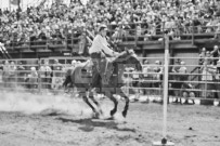 Binbrook Fair - Ram Rodeo Tour - Rodeo Photographer - Equine Photographer - Petes Photography or Petes Western - September 14 2024