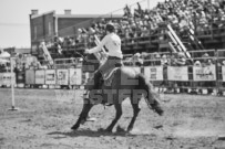 Binbrook Fair - Ram Rodeo Tour - Rodeo Photographer - Equine Photographer - Petes Photography or Petes Western - September 14 2024