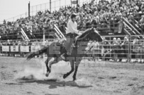 Binbrook Fair - Ram Rodeo Tour - Rodeo Photographer - Equine Photographer - Petes Photography or Petes Western - September 14 2024