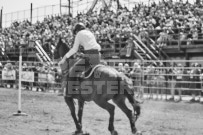 Binbrook Fair - Ram Rodeo Tour - Rodeo Photographer - Equine Photographer - Petes Photography or Petes Western - September 14 2024