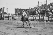 Binbrook Fair - Ram Rodeo Tour - Rodeo Photographer - Equine Photographer - Petes Photography or Petes Western - September 14 2024