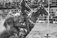 Binbrook Fair - Ram Rodeo Tour - Rodeo Photographer - Equine Photographer - Petes Photography or Petes Western - September 14 2024