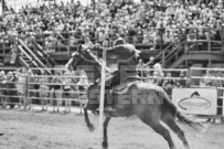 Binbrook Fair - Ram Rodeo Tour - Rodeo Photographer - Equine Photographer - Petes Photography or Petes Western - September 14 2024