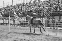 Binbrook Fair - Ram Rodeo Tour - Rodeo Photographer - Equine Photographer - Petes Photography or Petes Western - September 14 2024