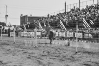 Binbrook Fair - Ram Rodeo Tour - Rodeo Photographer - Equine Photographer - Petes Photography or Petes Western - September 14 2024