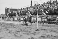 Binbrook Fair - Ram Rodeo Tour - Rodeo Photographer - Equine Photographer - Petes Photography or Petes Western - September 14 2024