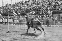 Binbrook Fair - Ram Rodeo Tour - Rodeo Photographer - Equine Photographer - Petes Photography or Petes Western - September 14 2024