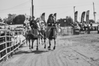 Binbrook Fair - Ram Rodeo Tour - Rodeo Photographer - Equine Photographer - Petes Photography or Petes Western - September 14 2024