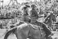 Binbrook Fair - Ram Rodeo Tour - Rodeo Photographer - Equine Photographer - Petes Photography or Petes Western - September 14 2024