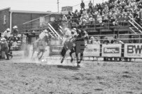 Binbrook Fair - Ram Rodeo Tour - Rodeo Photographer - Equine Photographer - Petes Photography or Petes Western - September 14 2024