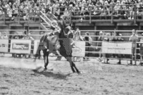 Binbrook Fair - Ram Rodeo Tour - Rodeo Photographer - Equine Photographer - Petes Photography or Petes Western - September 14 2024