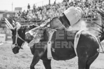 Binbrook Fair - Ram Rodeo Tour - Rodeo Photographer - Equine Photographer - Petes Photography or Petes Western - September 14 2024